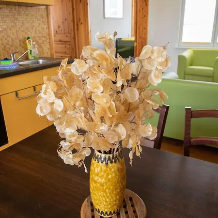 Vedro Apartment *
